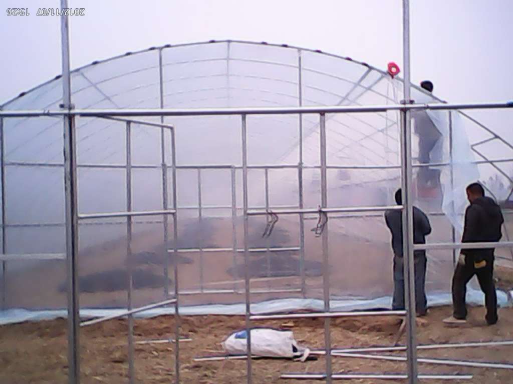 大棚有毒气体的危害及预防