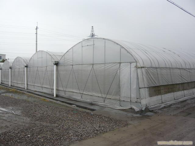 温室大棚防风主要措施