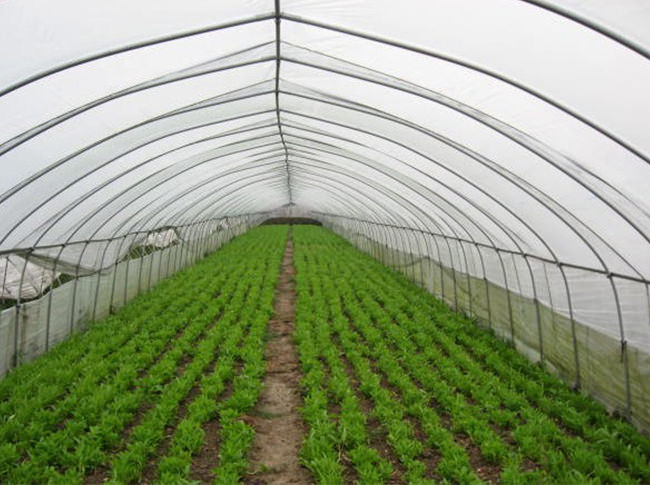 【教程】现代温室工程书籍