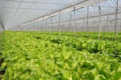 温室大棚建设一般费用清单