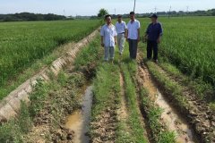 做温室大棚的特别注意事项，这些一定注意好。